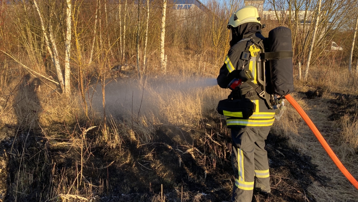 Flächenbrand