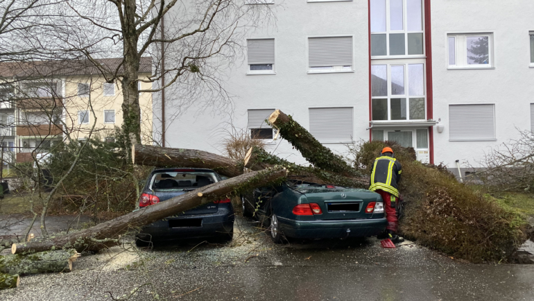 Sturmtief bringt verschiedene Einsatzlagen nach Weingarten