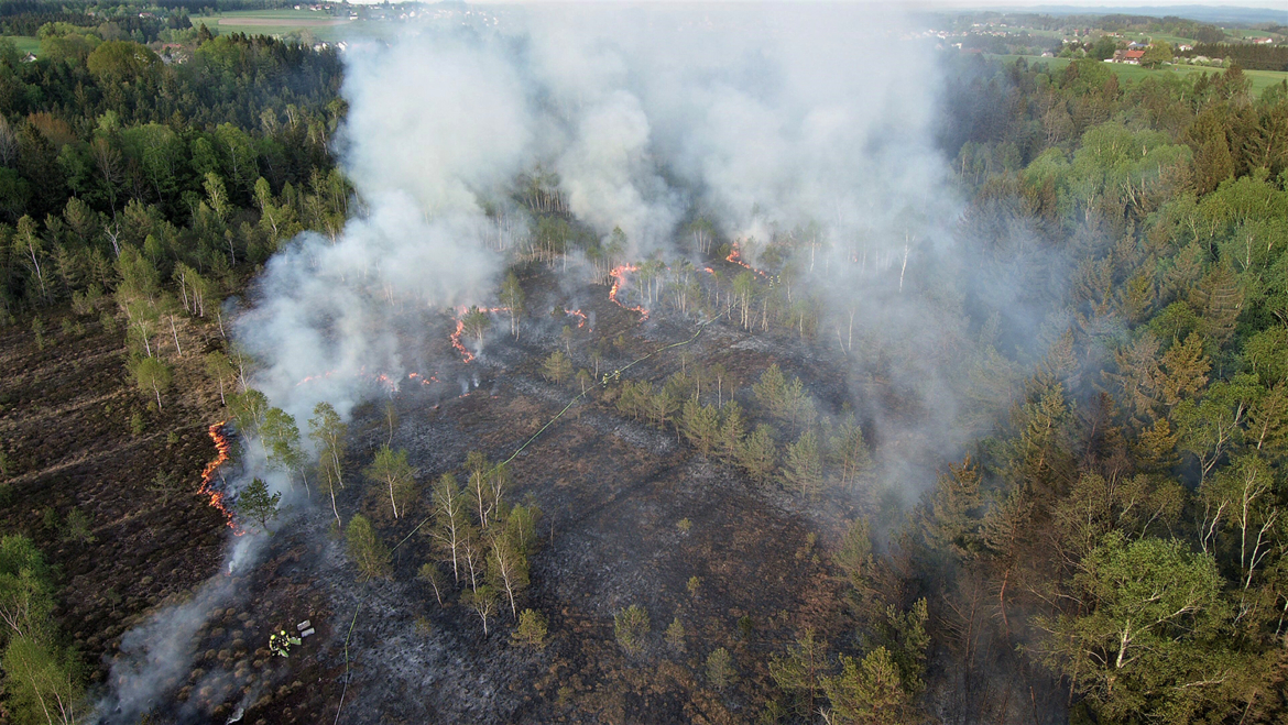 Flächenbrand