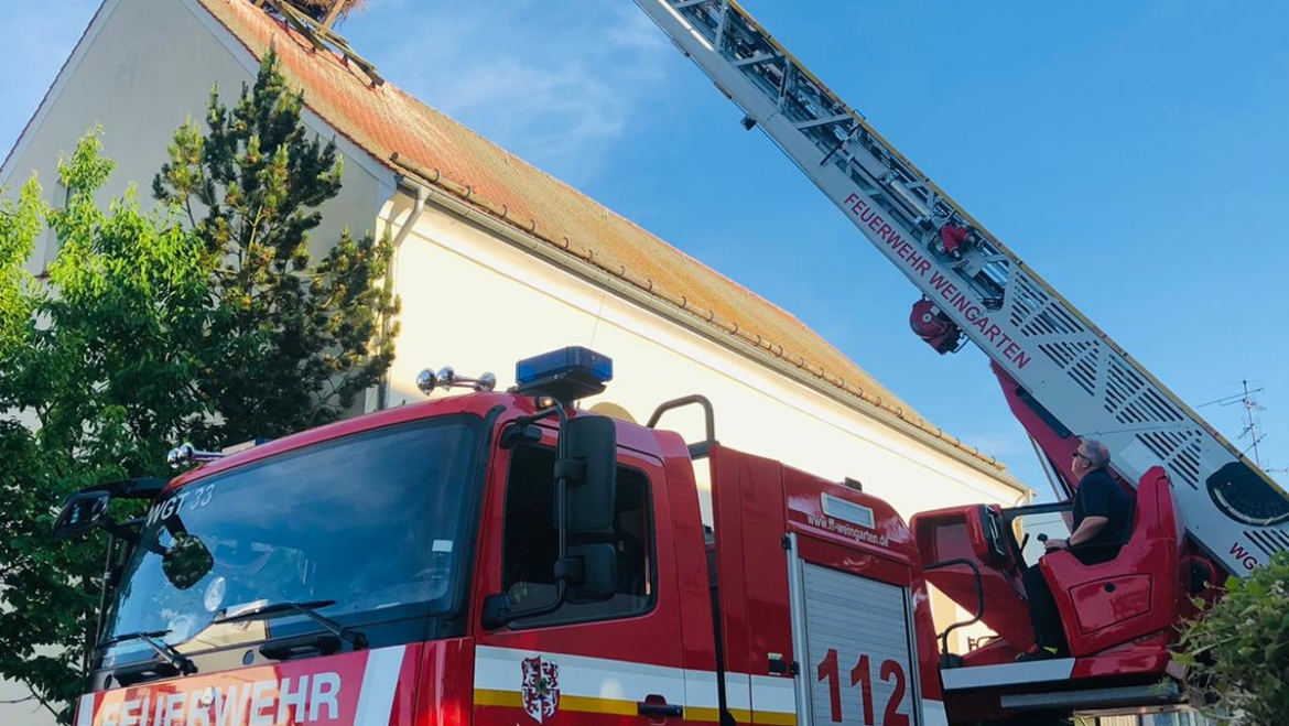 Storchenberingung