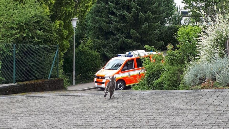 Tierrettung