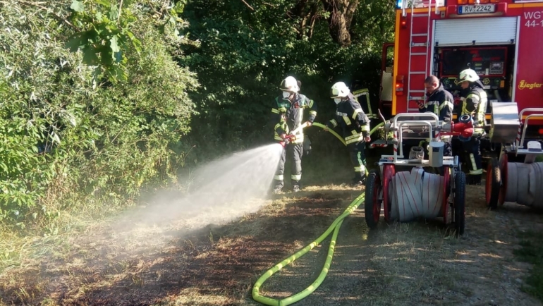 Flächenbrand