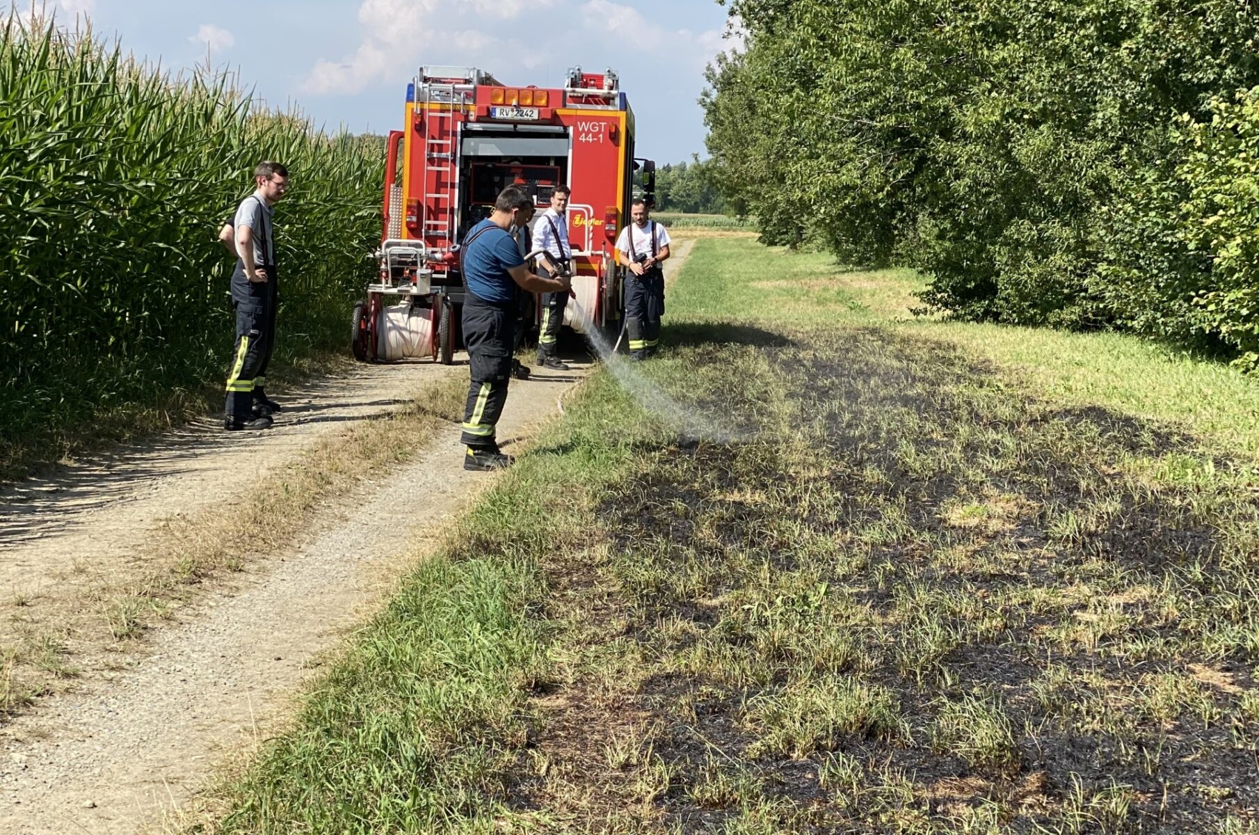 Flächenbrand