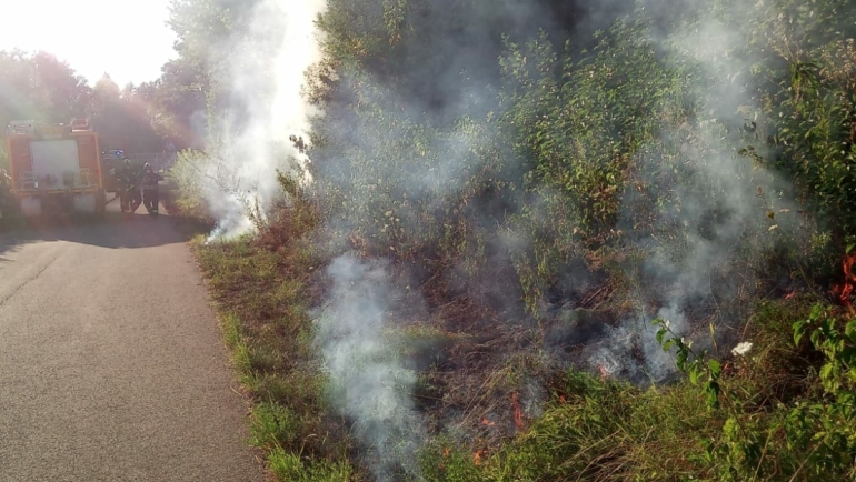 Flächenbrand