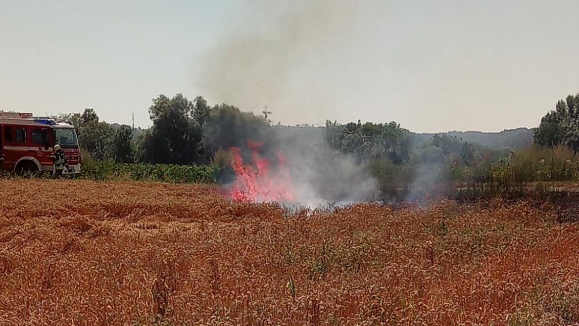 Flächenbrand