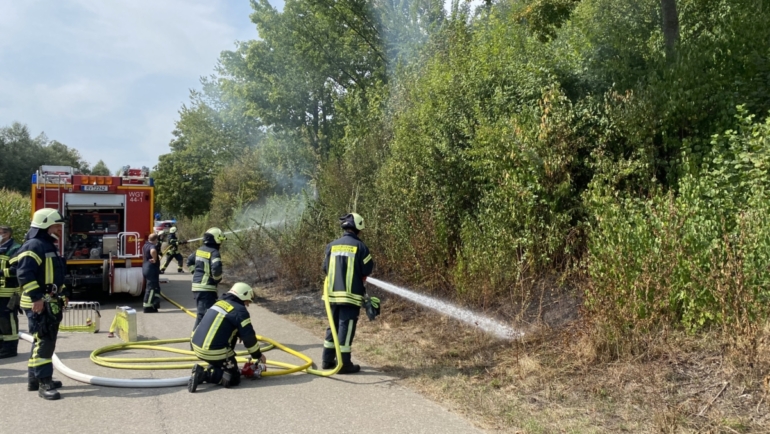 Flächenbrand