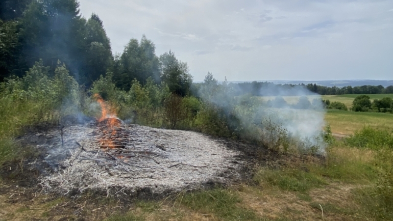 Flächenbrand