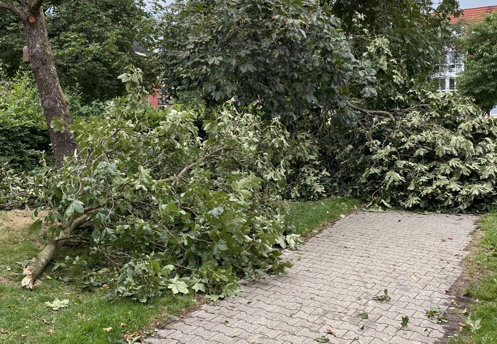 Unwetter