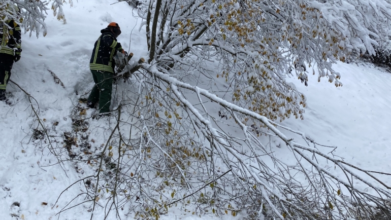 Schneebruch
