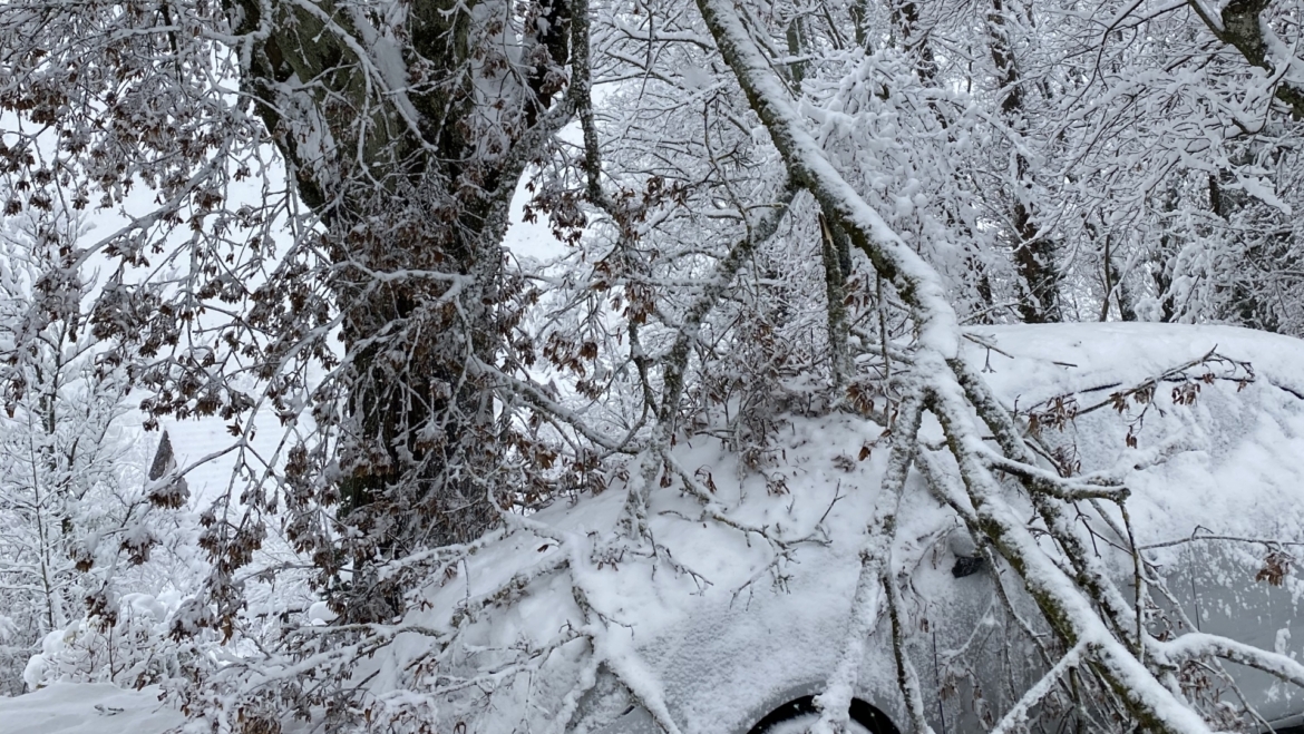 Schneebruch