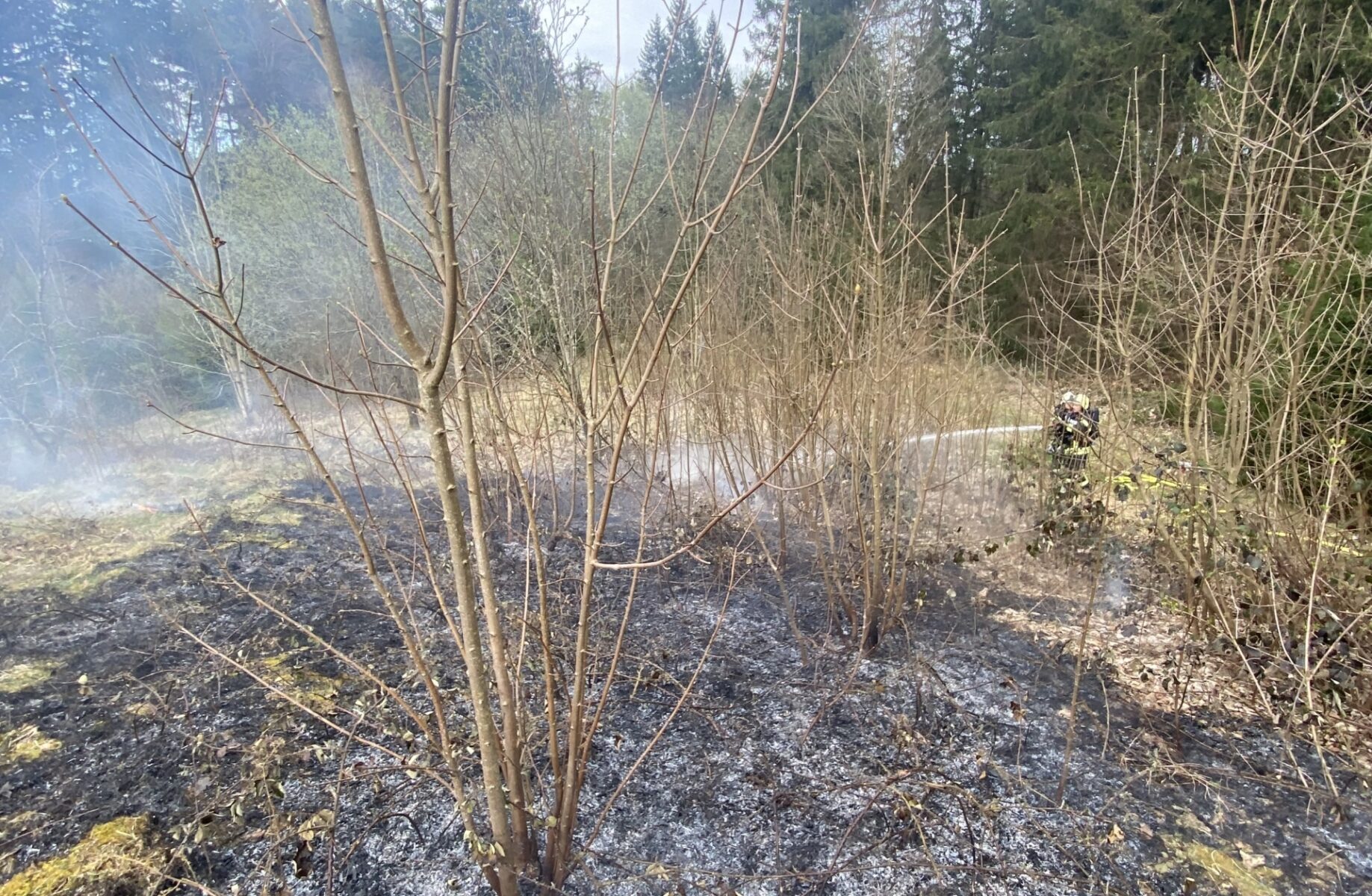 Flächenbrand