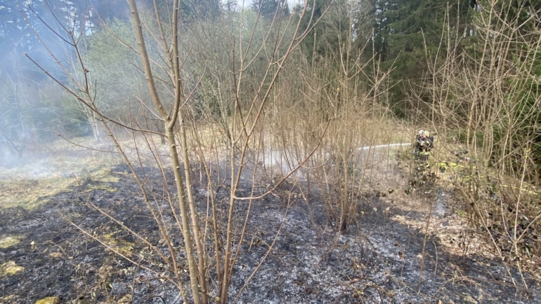 Flächenbrand