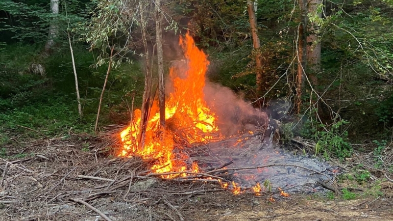 Flächenbrand