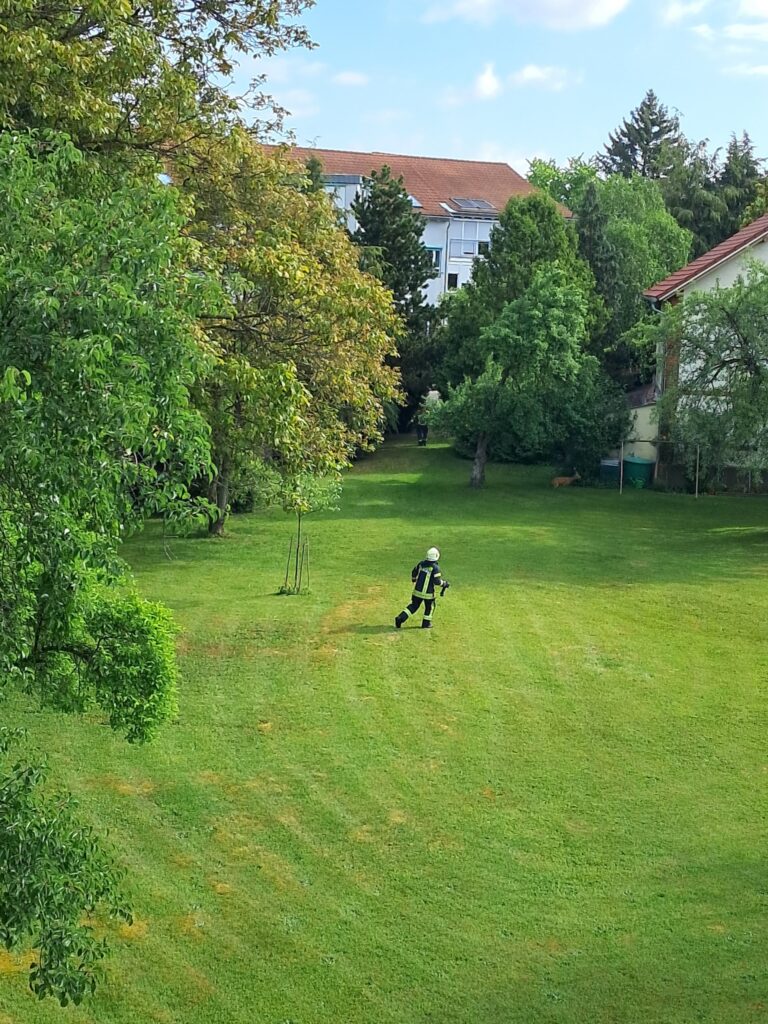 Treiben in Richtung Straße